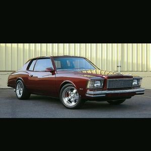 Meet your Posher, Timmy